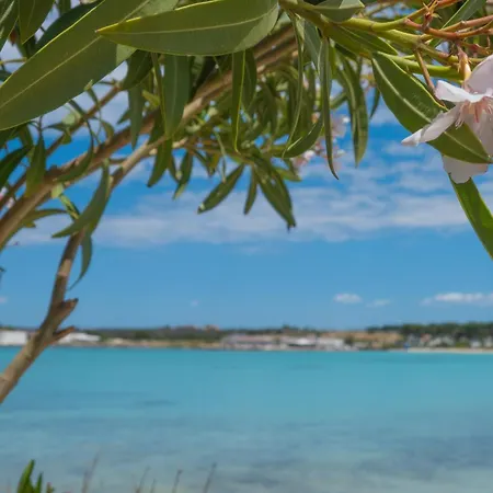 Casa Acquamarina - Rive Del Salento Sant Isidoro (Apulia)