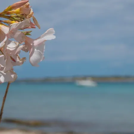 Casa Acquamarina - Rive Del Salento Sant Isidoro (Apulia)